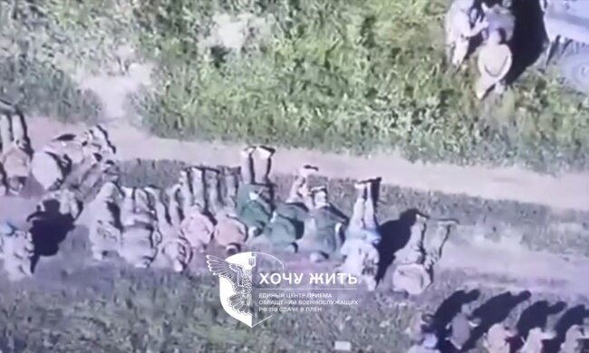 Это невероятно: орки в Курской области сдаются в плен целыми ротами