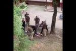 В сети появилось видео, как полицейский помогал ТЦК с мобилизацией - жестокость зашкаливает