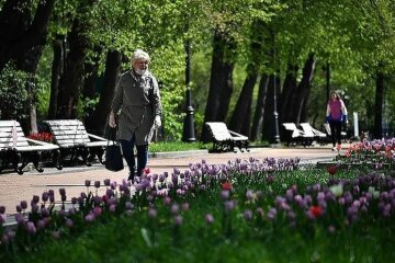 Предлагают бесплатную помощь на улице: в Киеве псевдоволонтеры устроили охоту на пенсионеров