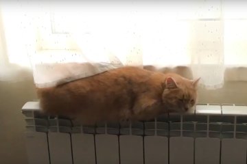 Отопление. Фото: скриншот YouTube