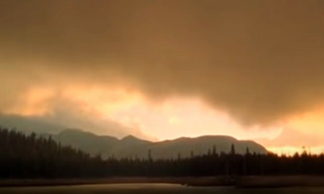 360 млн лет назад был разрушен озоновый слой. Фото: скриншот YouTube