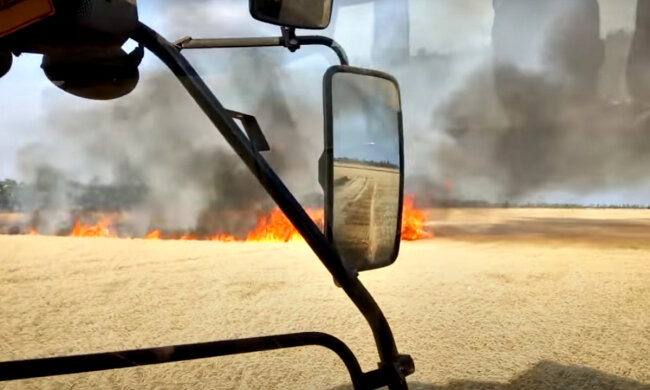 Будь-яка іскра може стати фатальною: ДержНС оголосила надзвичайний рівень пожежної небезпеки - яким областям бути напоготові