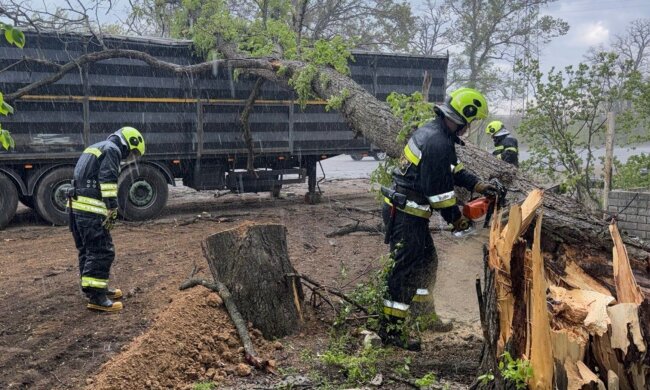 Диденко предупредила о холоде и штормовом ветре: 27 апреля заставит достать шапки — где будет самая плохая погода