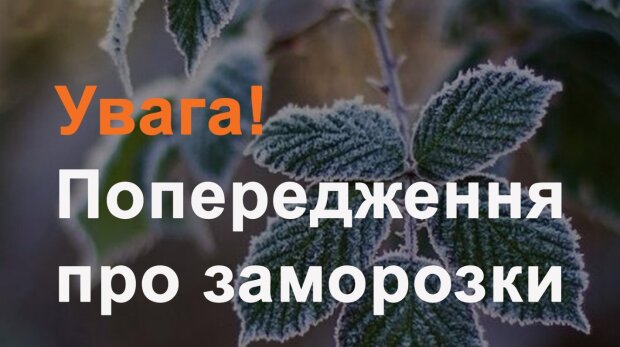 Зима на порозі: заморозки до –5°, дощі та мокрий сніг — прогноз погоди в Україні на сьогодні та найближчі дні