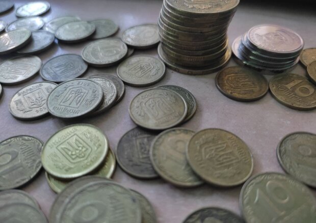 Украинские монеты. Фото: Стена