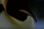 В новый год на Антарктике вылупились пингвины: фото украинской антарктической станции порвало Сети
