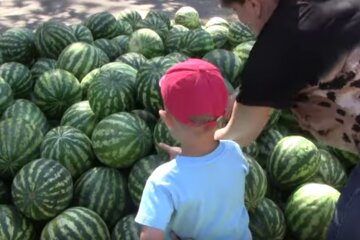 Херсонские арбузы рухнули в цене. Фото: youtube