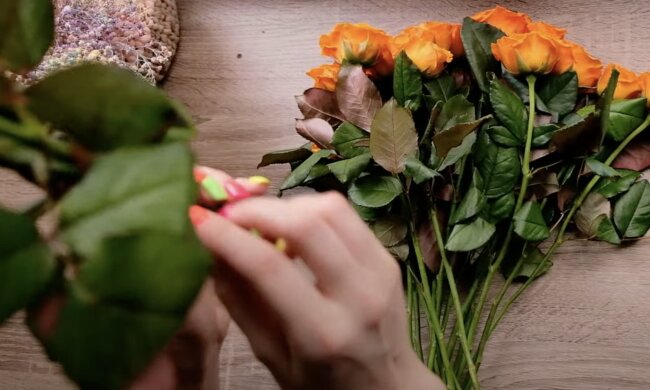 Розы, скриншот из YouTube