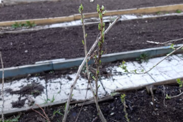 Город. Весна. Фото: youtube.com