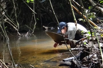 Источник: БигПикча