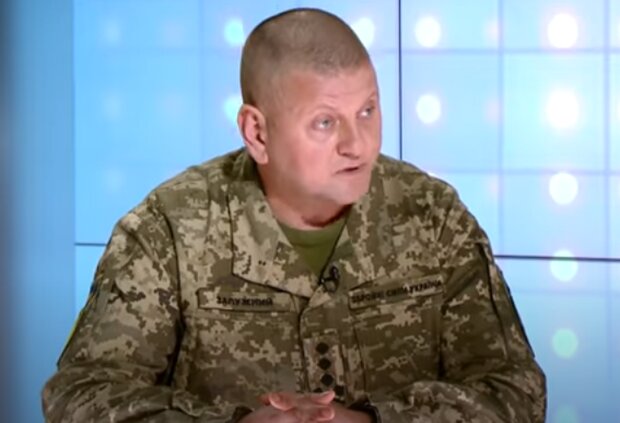 Виталий Залужный. Фото: скриншот YouTube-видео