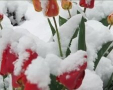Мокрый снег. Фото: скриншот Youtube-видео