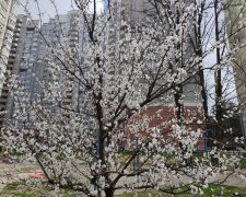 После морозной ночи – резкий разворот: 22 апреля принесет солнце, но не всем повезет