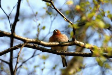 погода, фото: vesti-ua.net