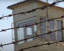 Попросился в тюрьму вместо армии: призывник с УБД неожиданно отреагировал на повестку, что решил суд