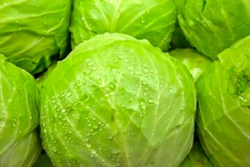 Капуста. Фото: YouTube