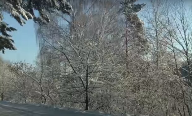 Украину засыплет снегом. Фото: скриншот видео