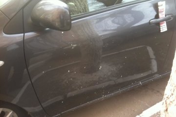 Коммунальщики отомстили украинцу за парковку на газоне. Фото