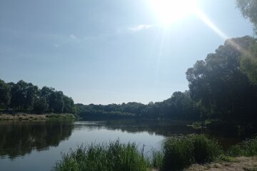 Солнечно. Фото: "Стена"