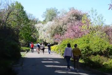 Сонячна погода в Україні. Фото: скріншот YouTube-відео