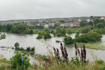 Непогода во Львове, фото: Телеграм
