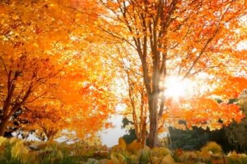 Погода на 4 сентября 2020 года