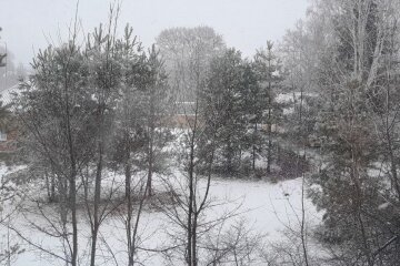 Синоптики предупредили, что ждать в ближайшее время. Фото: "Стена"