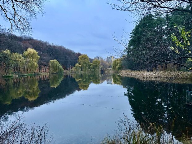 До +14, а потім мороз і знову тепло: синоптик Діденко дала прогноз на п'ятницю та аж до понеділка