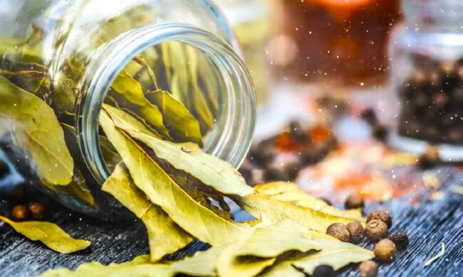 Лавровый лист. Фото: YouTube