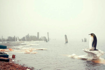 Уже через 30 лет Земля будет непригодна для жизни, государства будут распадаться