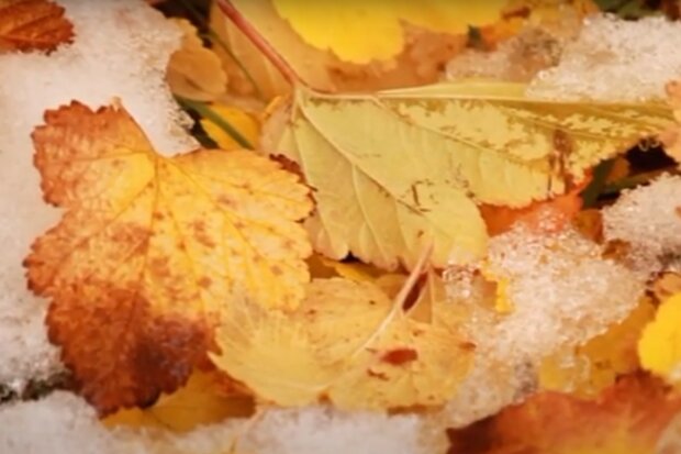 Поздняя осень. Фото: скриншот YouTube-видео