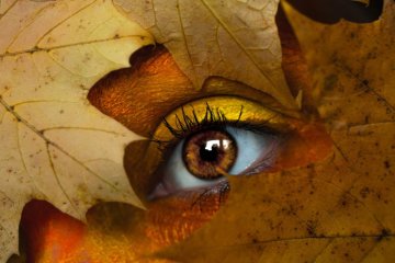 Праздники 29 октября 2019 года!