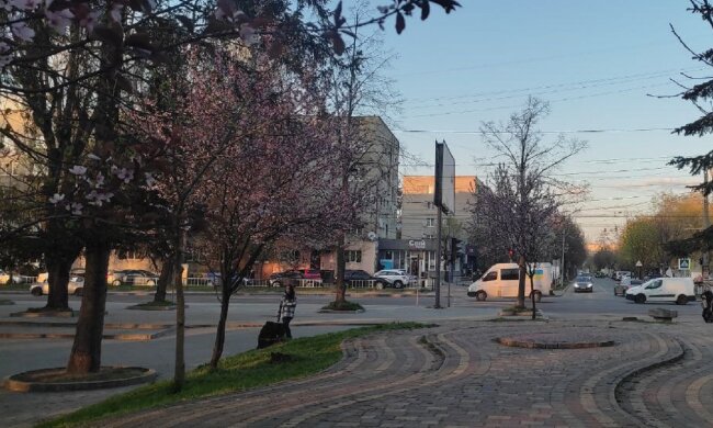 Неділя порадує українців теплом: синоптики дали оптимістичний прогноз на 23 квітня
