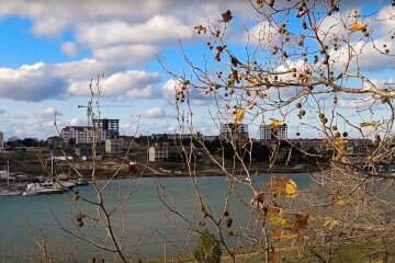 Природа. Фото: скріншот YouTube-відео