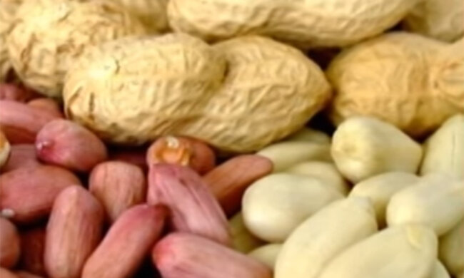 Орехи. Фото: youtube.com