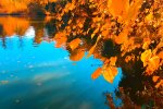 Осень. Фото: скриншот YouTube-видео
