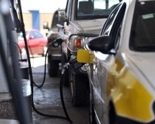 Эксперт спрогнозировал падение цен на топливо. Фото: КП