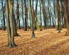 Погода в Україні. Фото: скріншот Youtube-відео