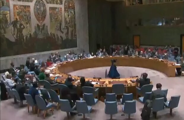 Радбез ООН. Фото: скріншот YouTube-відео