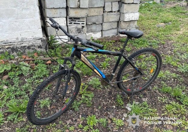 Поліція Житомирщини: викрадення транспорту