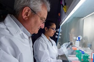 Источник: газета День