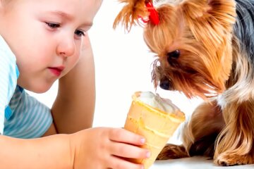 Собака. Фото: YouTube