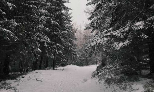Зима. Фото: Стена