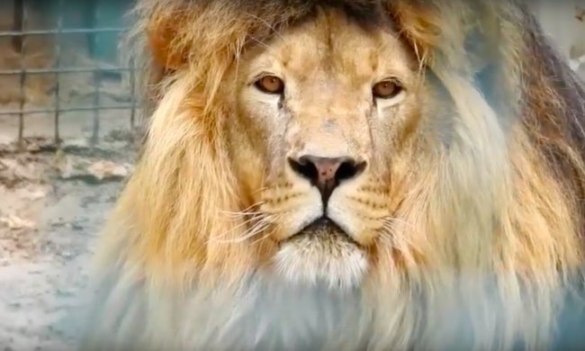 Харьков. Фото: скриншот YouTube.