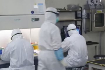 Китайские власти говорят о снижении заболеваемости