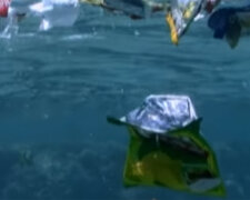 Пластик в водоемах. Фото: youtube.com