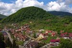 Природа Карпат. Фото: скріншот YouTube-відео