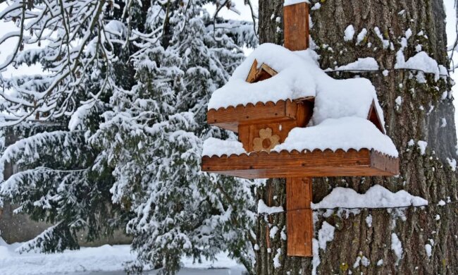 Зима, погода, сніг,  мороз. Фото: Стіна