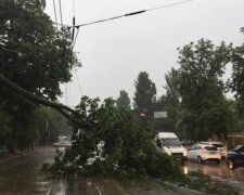 Обрывает провода и валяет деревья: Киев колотит от непогоды, все только начинается