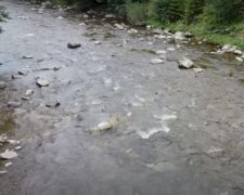 Река в Закарпатье. Фото: скриншот YouTube